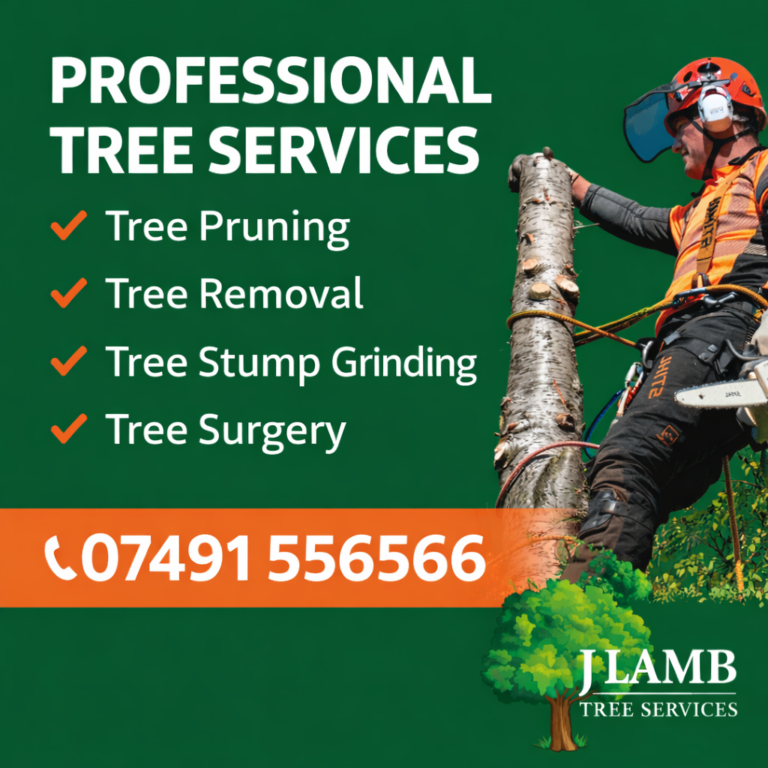 tree surgery bristol