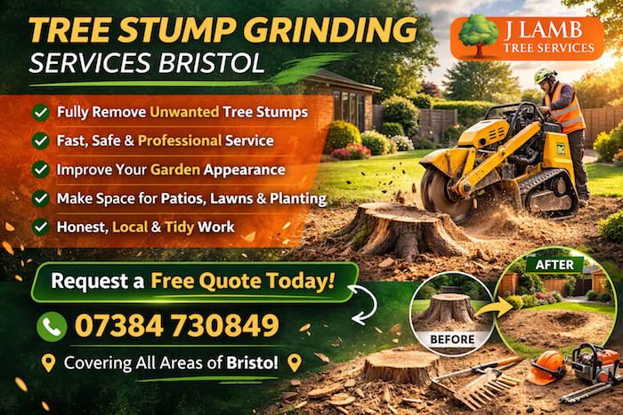 tree stump grinding bristol