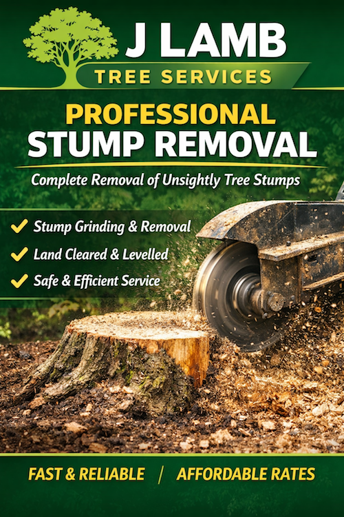 j-Lamb- tree-servcies-tree-stump -removal