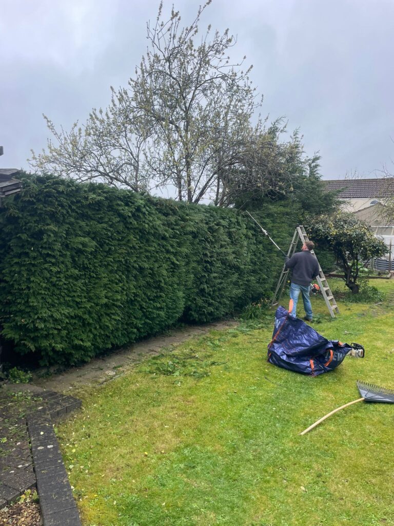 Professional hedge cutting in bristol