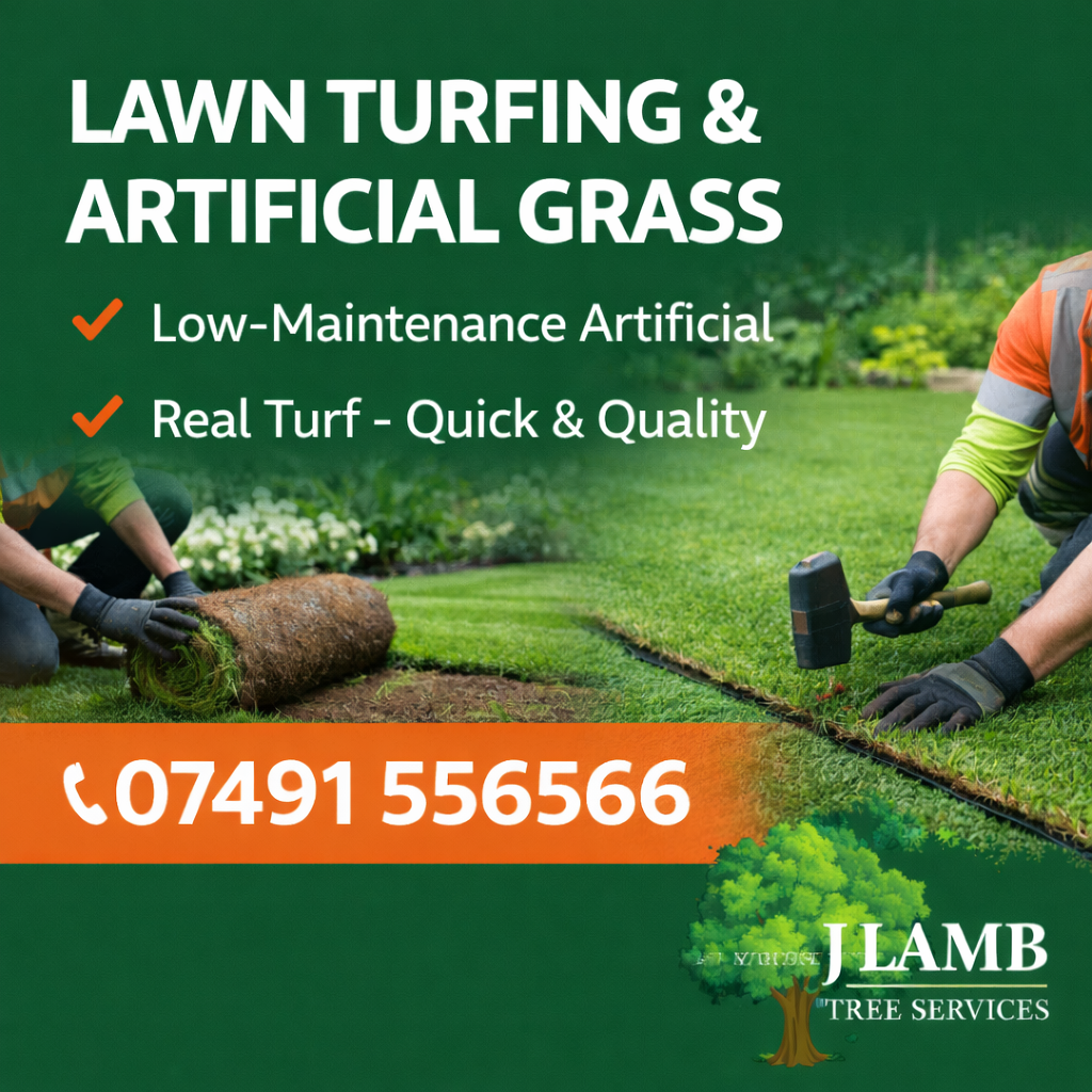 New Lawn Turfing in Bristol
