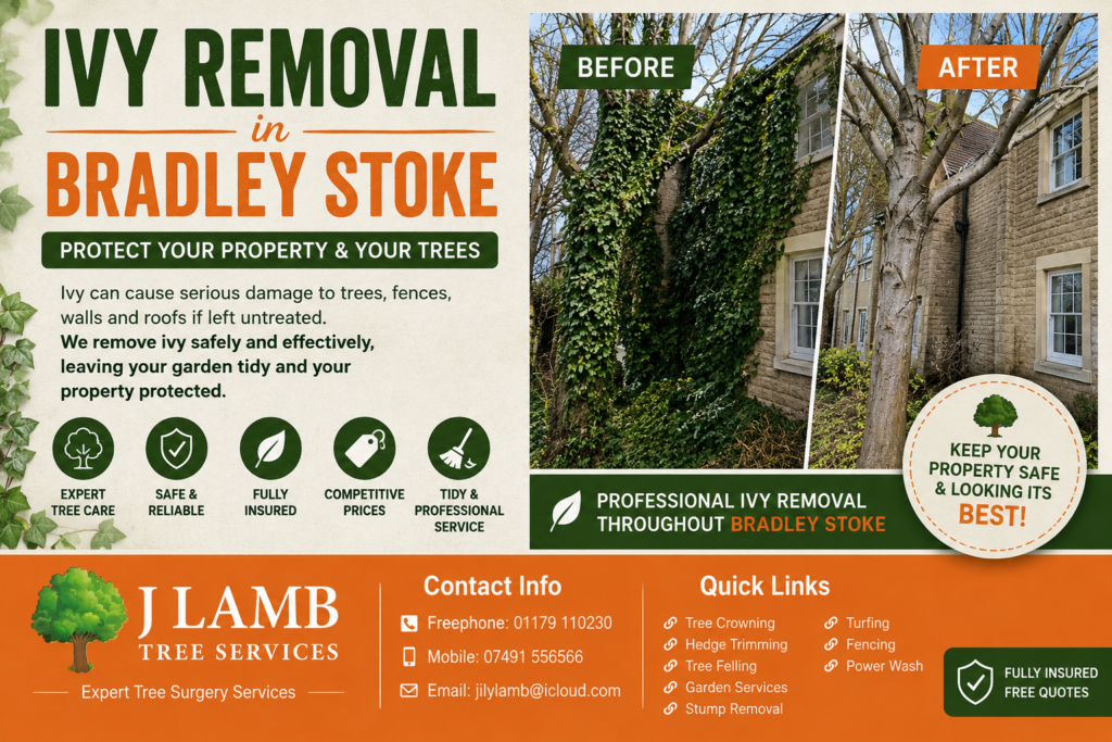ivy-removal-bradley-stoke